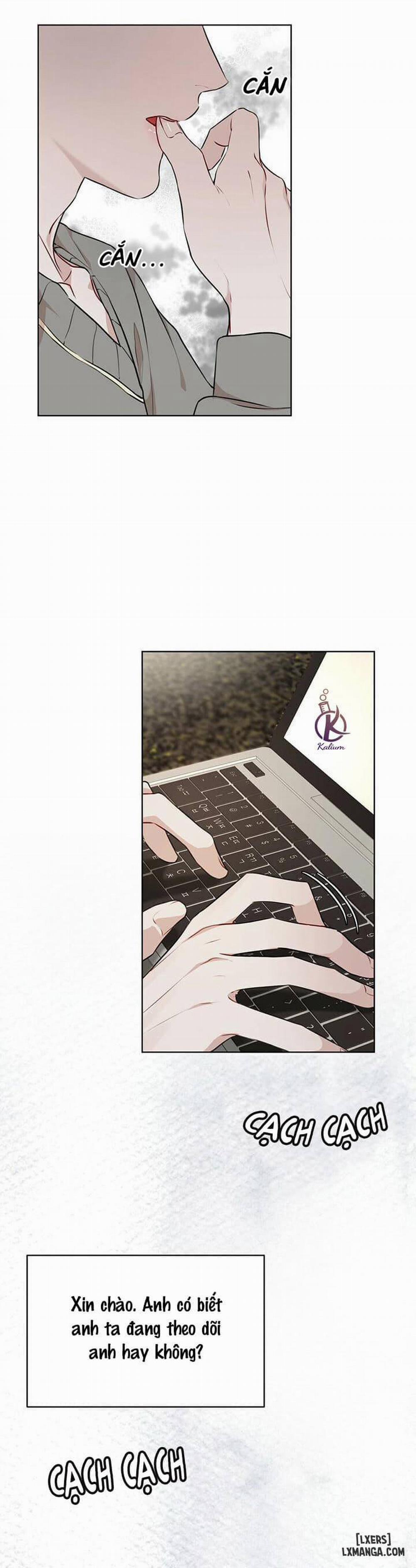 Hình thái khởi sinh 29 trang 12