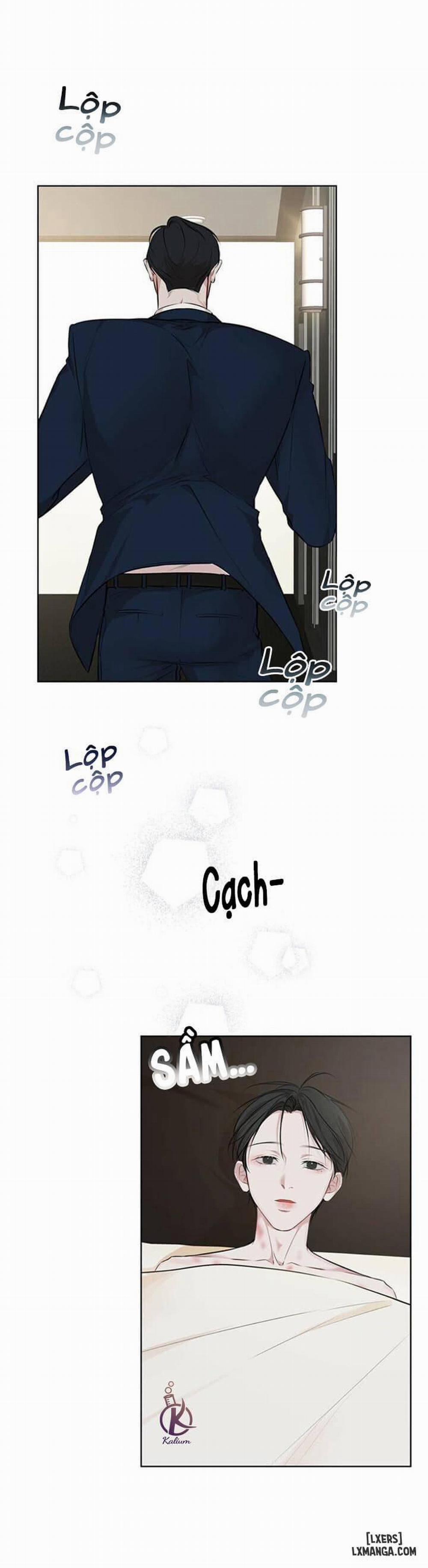 Hình thái khởi sinh 29 trang 2