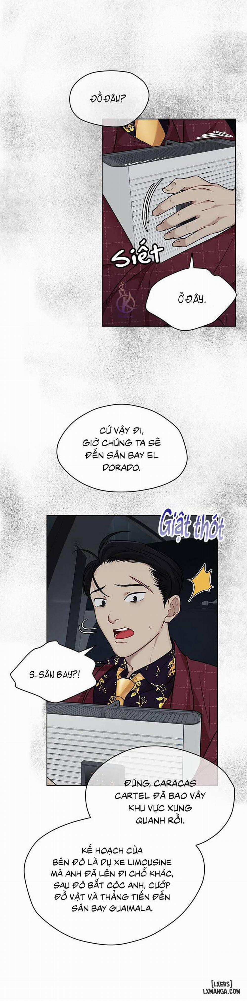 Hình thái khởi sinh 30 trang 11