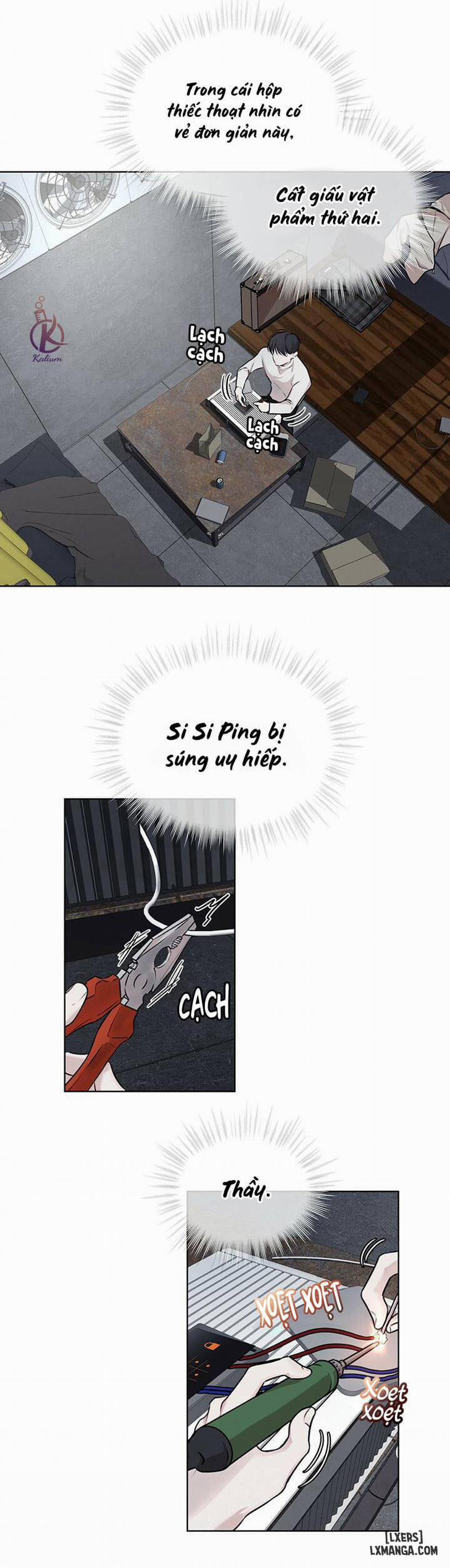 Hình thái khởi sinh 30 trang 21