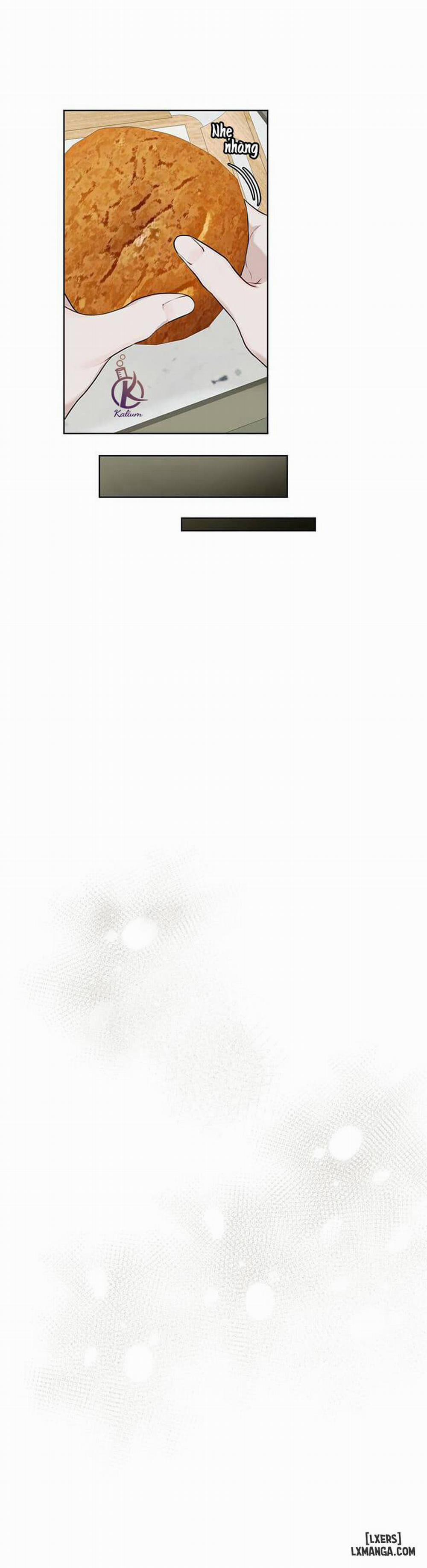 Hình thái khởi sinh 31 trang 12