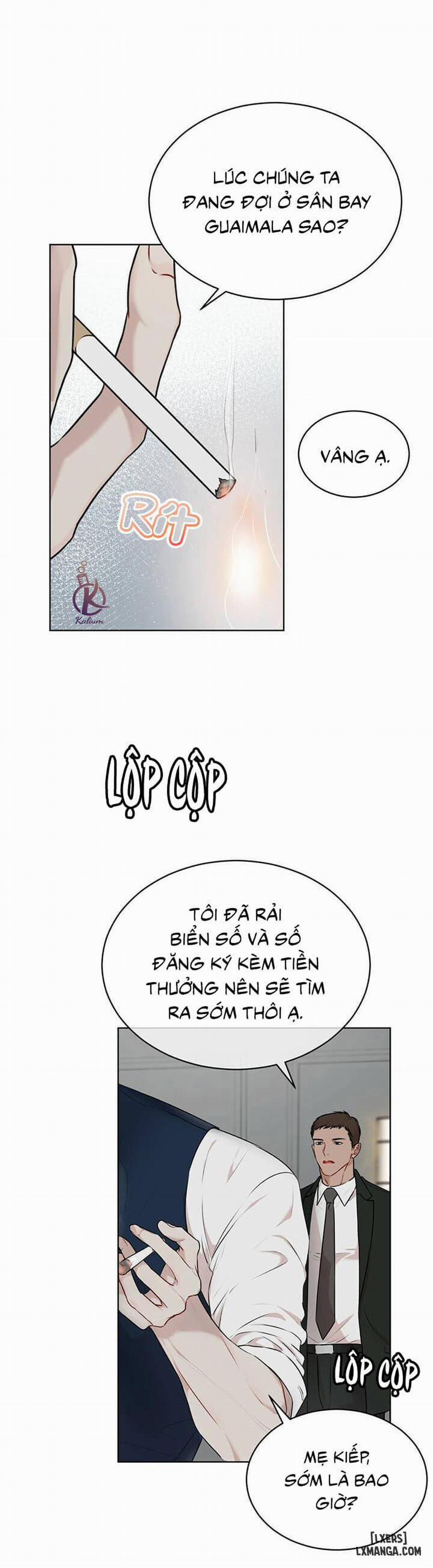 Hình thái khởi sinh 31 trang 19