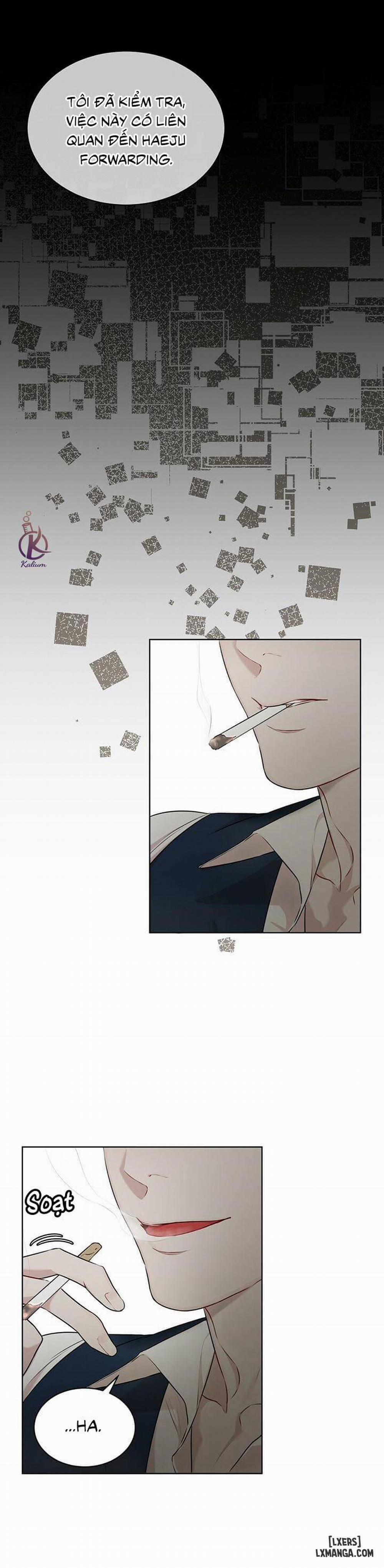 Hình thái khởi sinh 31 trang 28