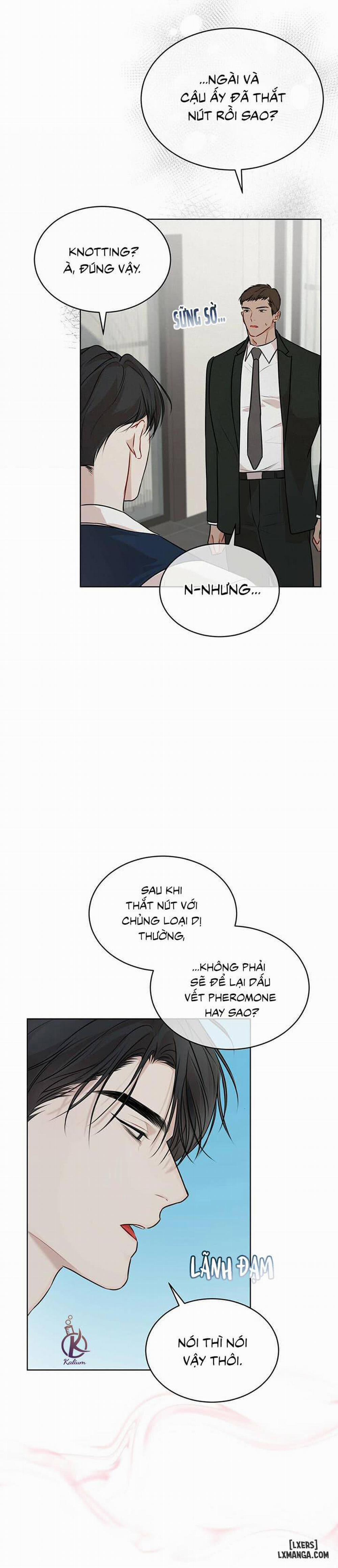 Hình thái khởi sinh 31 trang 31