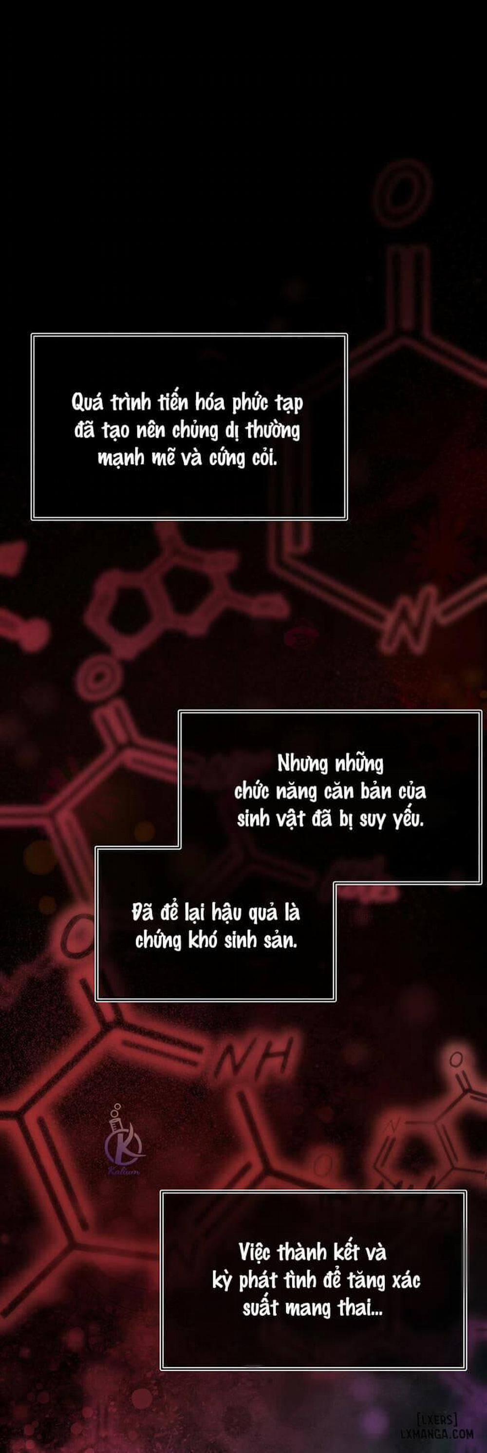 Hình thái khởi sinh 32 trang 0
