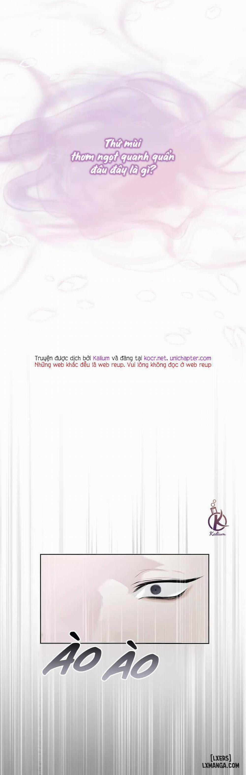 Hình thái khởi sinh 32 trang 10