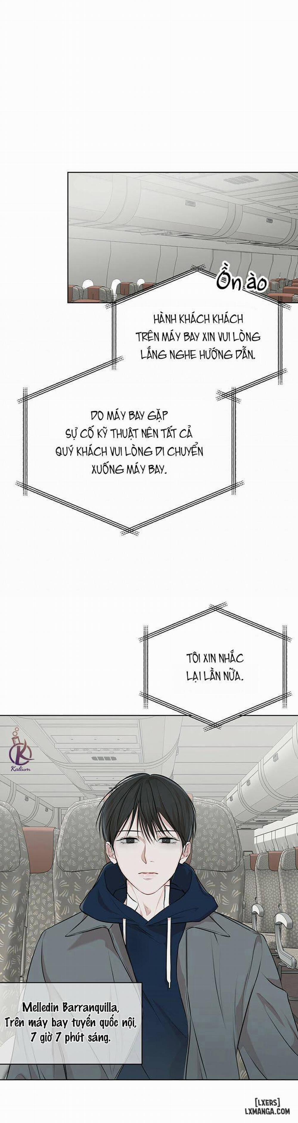 Hình thái khởi sinh 32 trang 19