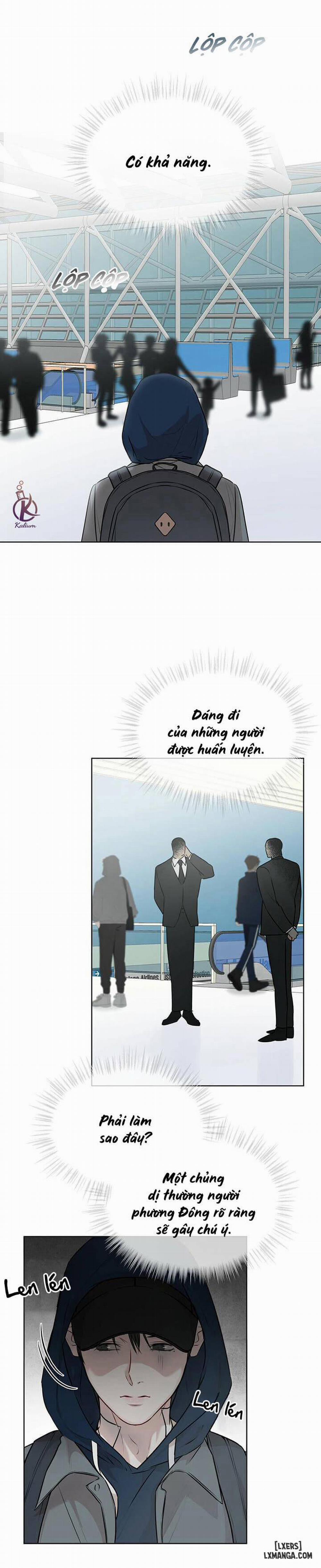 Hình thái khởi sinh 32 trang 21