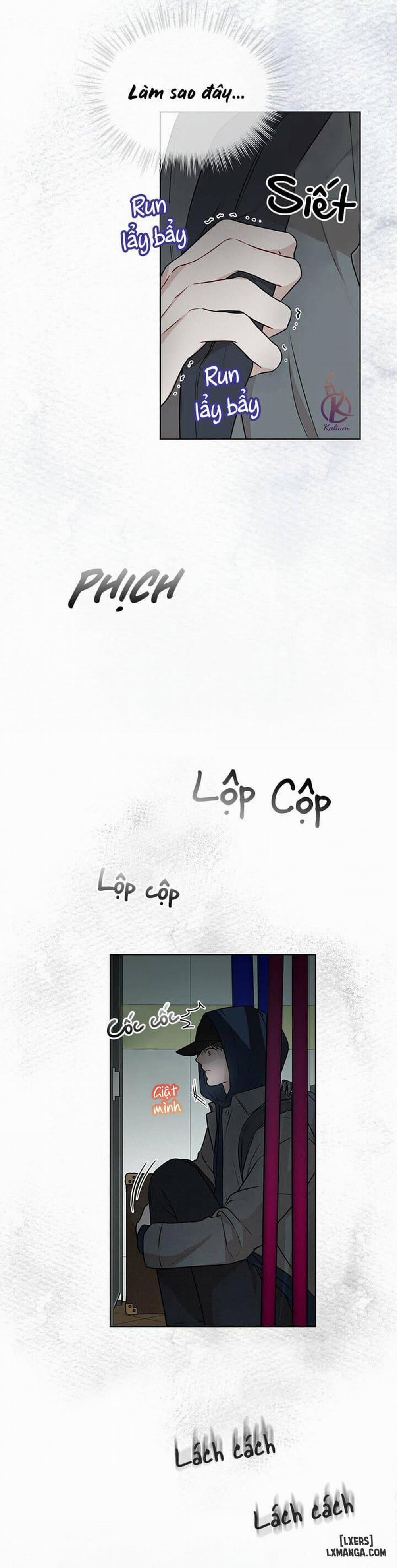 Hình thái khởi sinh 32 trang 33