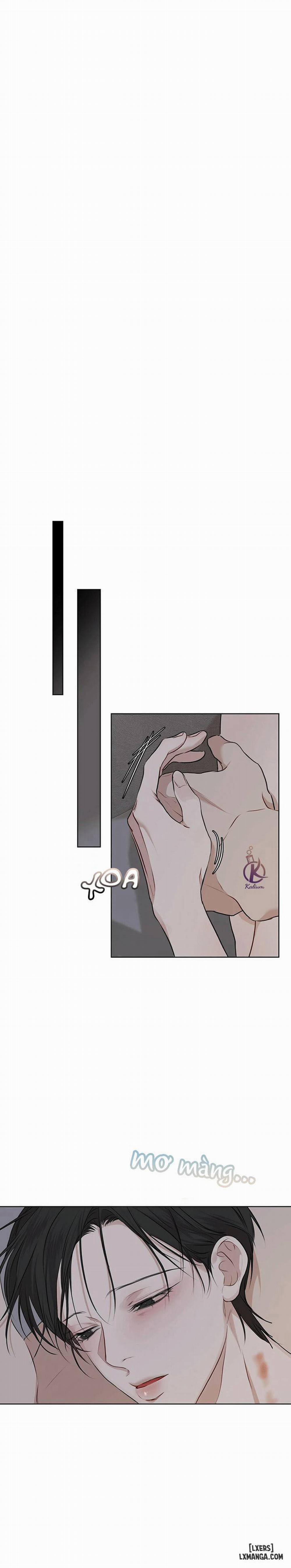 Hình thái khởi sinh 37 trang 17