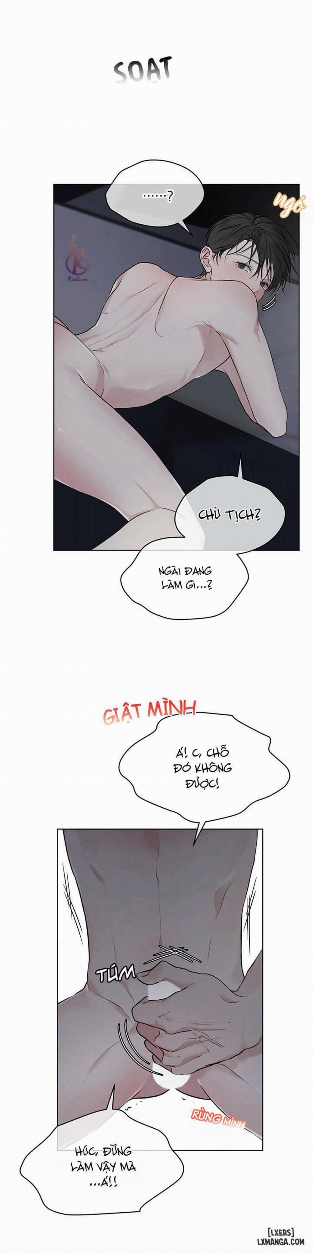 Hình thái khởi sinh 37 trang 6