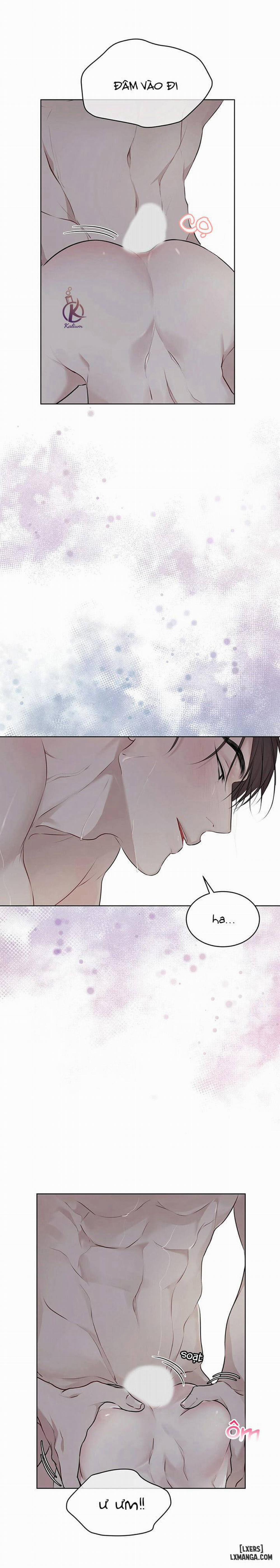 Hình thái khởi sinh 37 trang 8