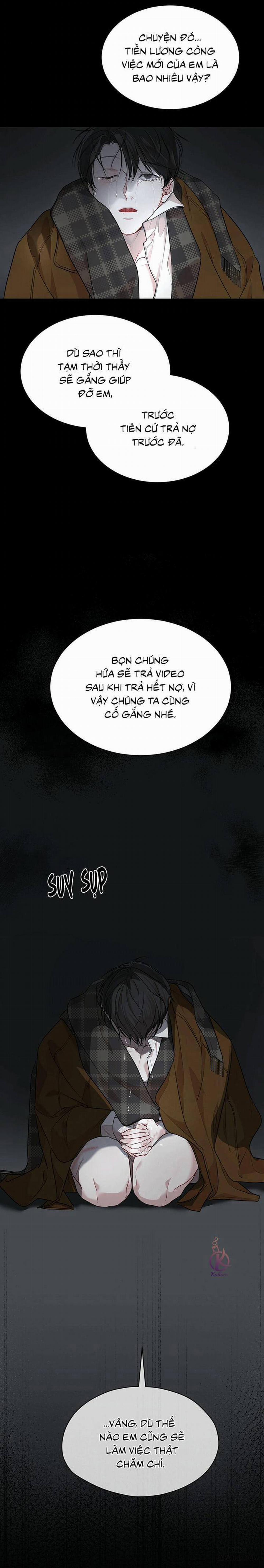 Hình thái khởi sinh 38 trang 16