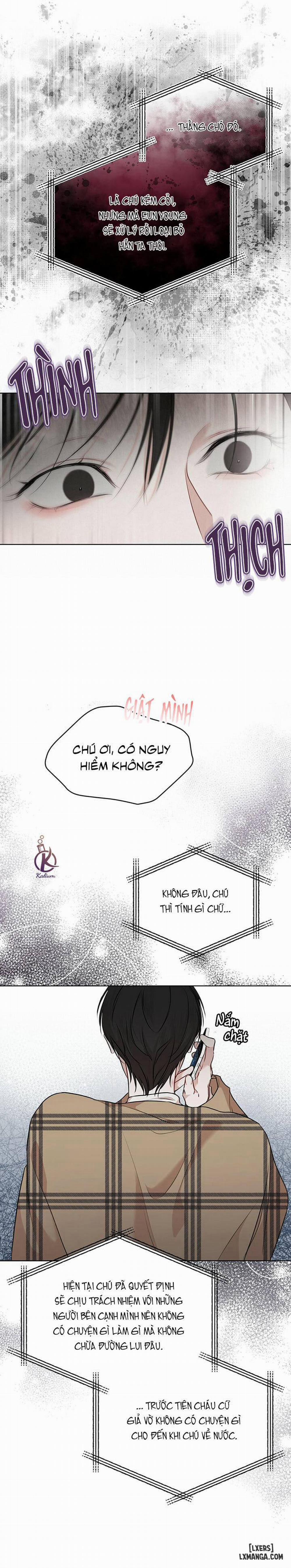 Hình thái khởi sinh 38 trang 3