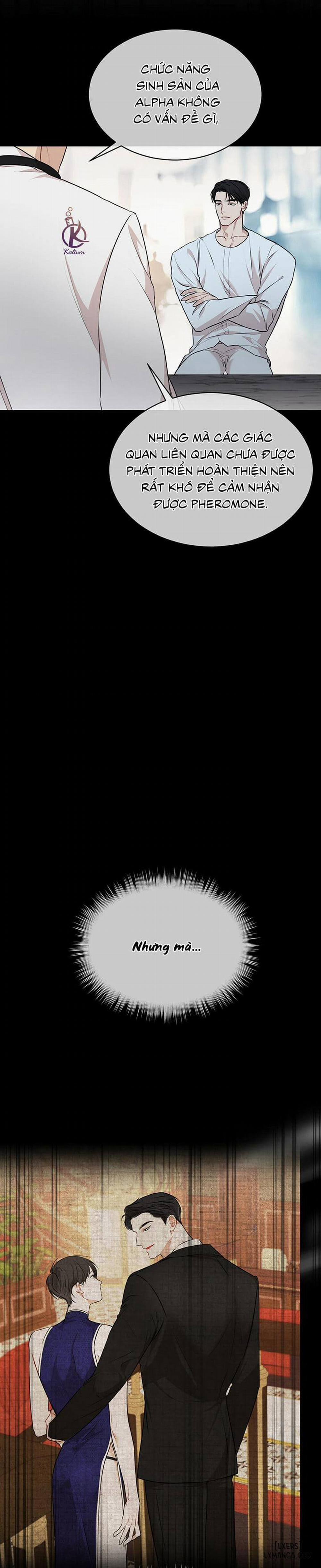 Hình thái khởi sinh 39 trang 19