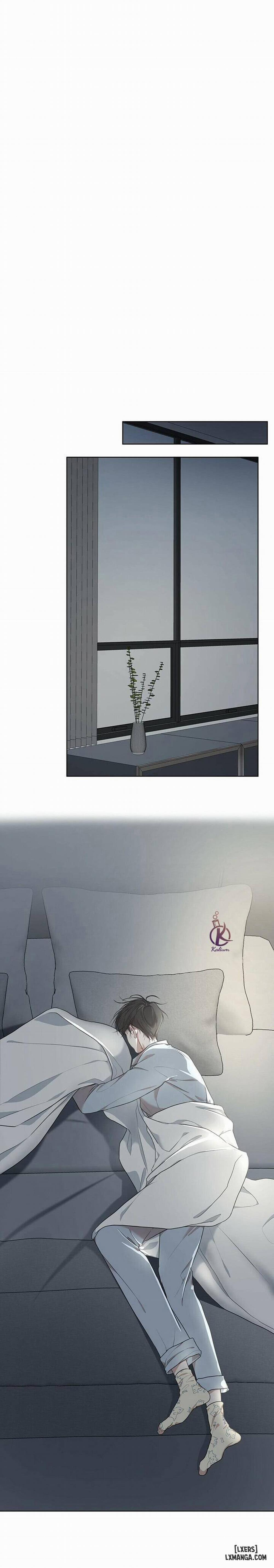 Hình thái khởi sinh 40 trang 18