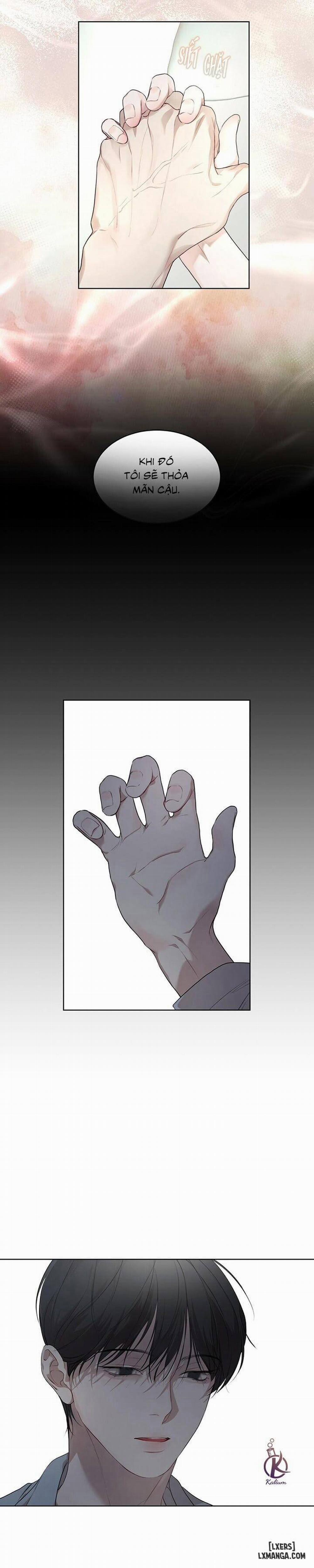 Hình thái khởi sinh 43 trang 11