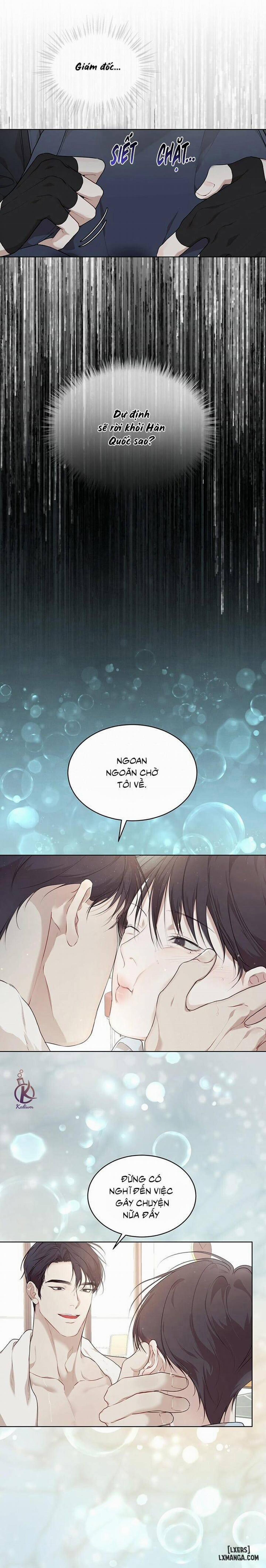 Hình thái khởi sinh 43 trang 17