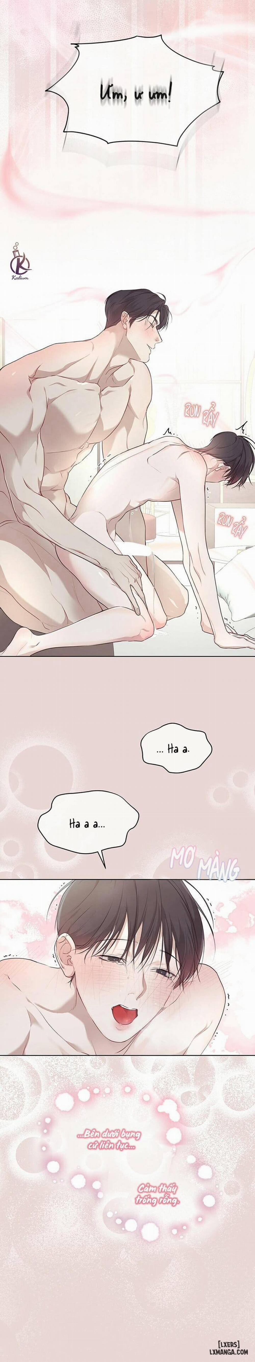 Hình thái khởi sinh 43 trang 7