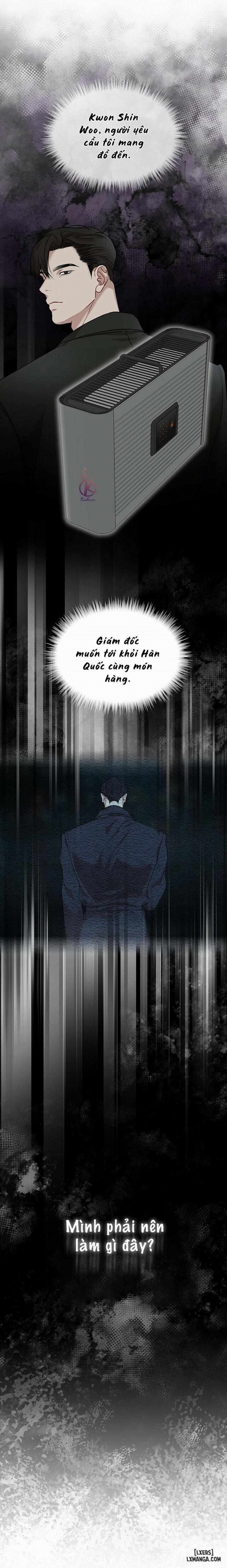 Hình thái khởi sinh 44 trang 8