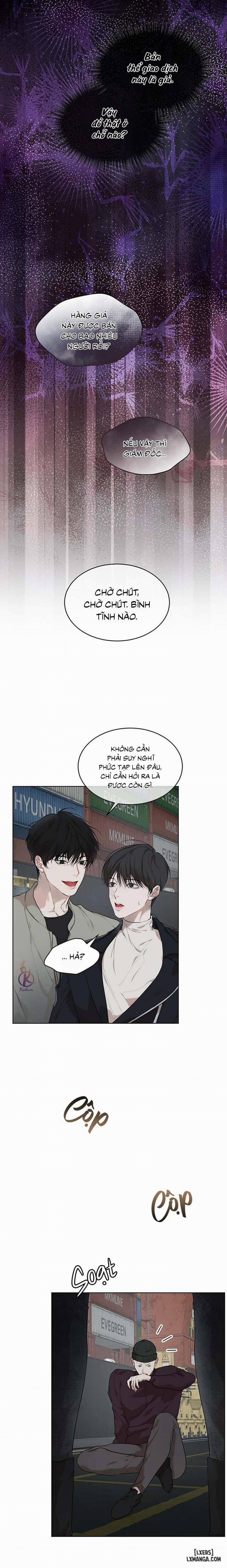 Hình thái khởi sinh 45 trang 10