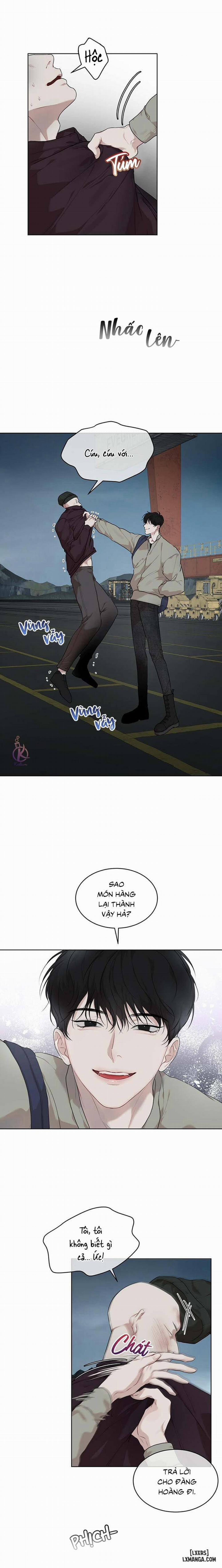 Hình thái khởi sinh 45 trang 11