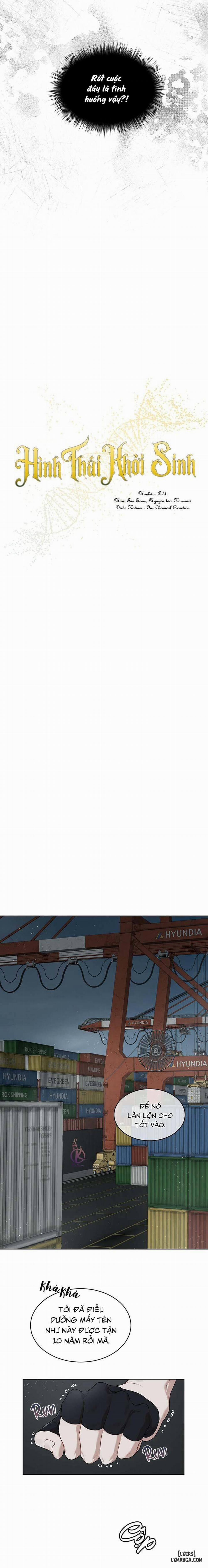 Hình thái khởi sinh 45 trang 3