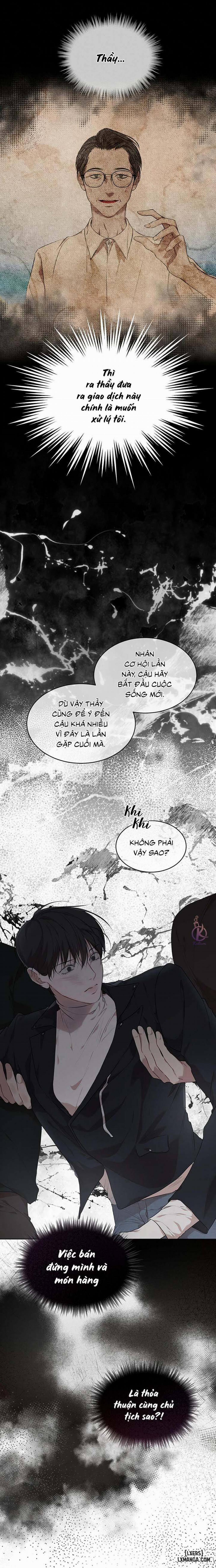 Hình thái khởi sinh 45 trang 5