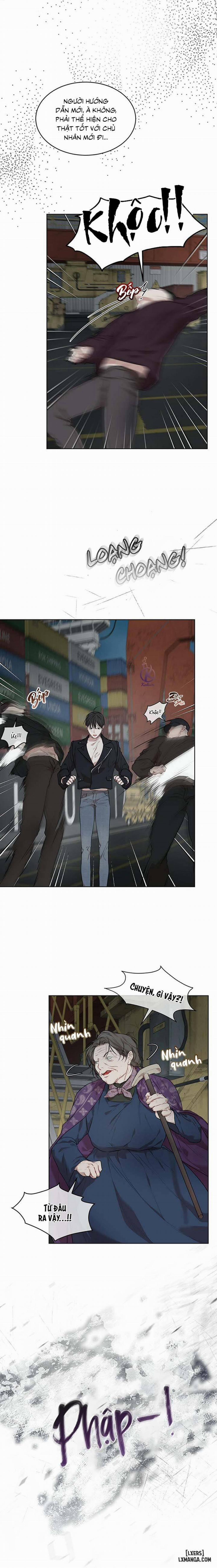 Hình thái khởi sinh 45 trang 6