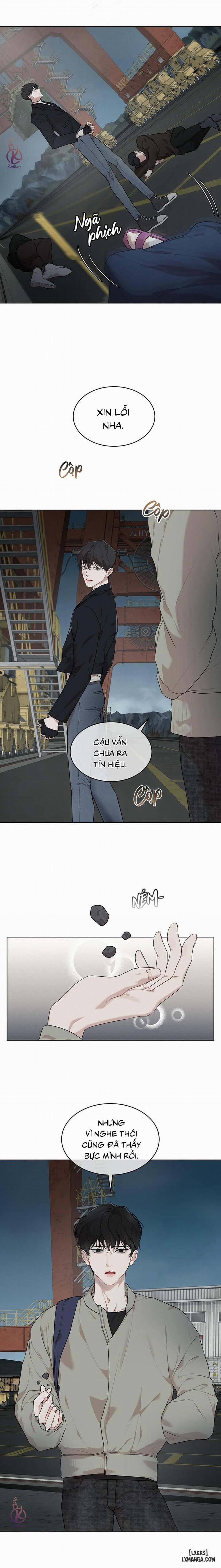 Hình thái khởi sinh 45 trang 7