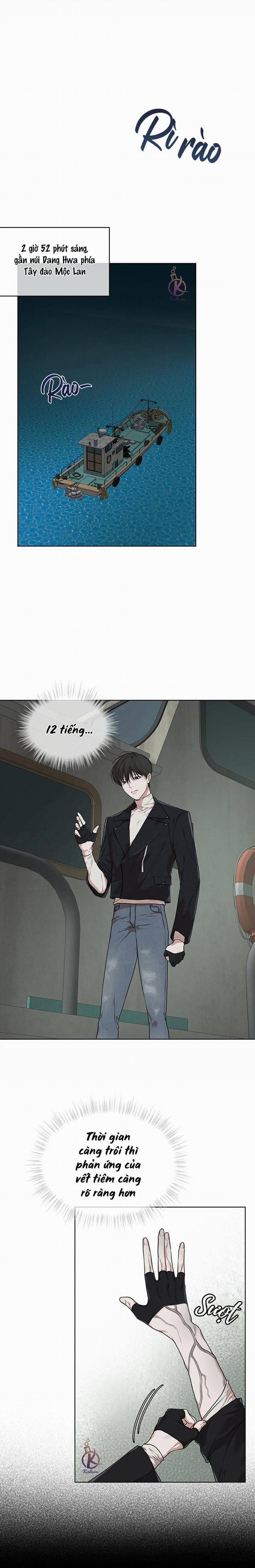 Hình thái khởi sinh 48 trang 5