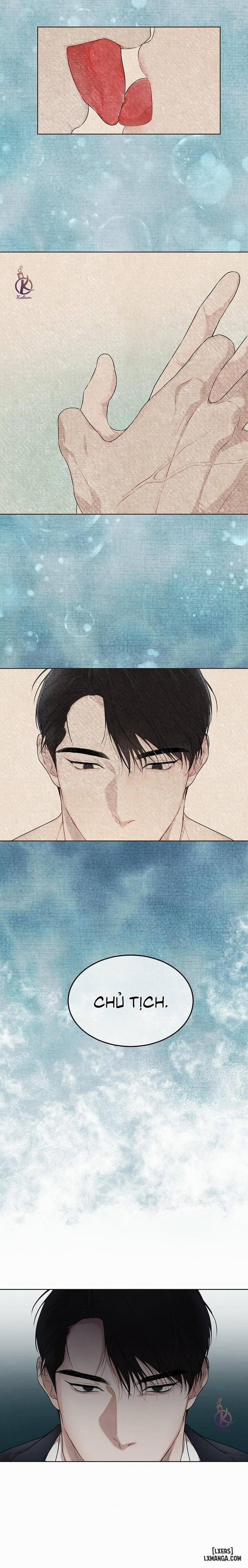 Hình thái khởi sinh 49 trang 13