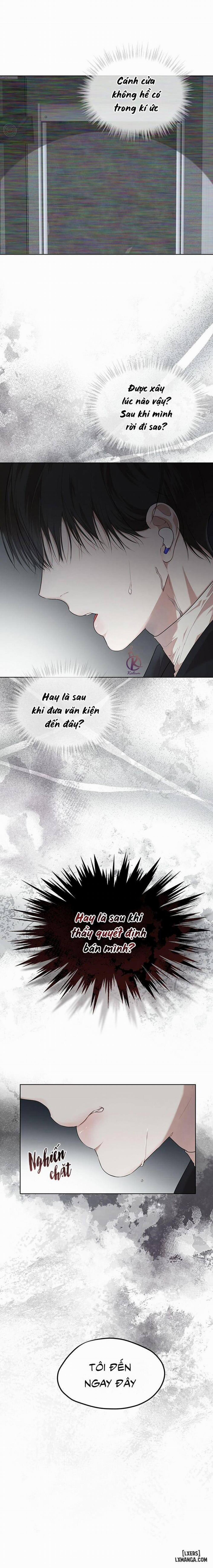 Hình thái khởi sinh 50 trang 3