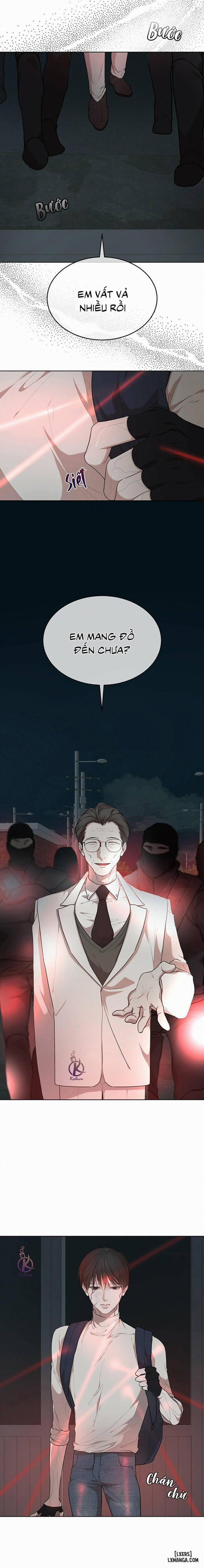 Hình thái khởi sinh 51 trang 10