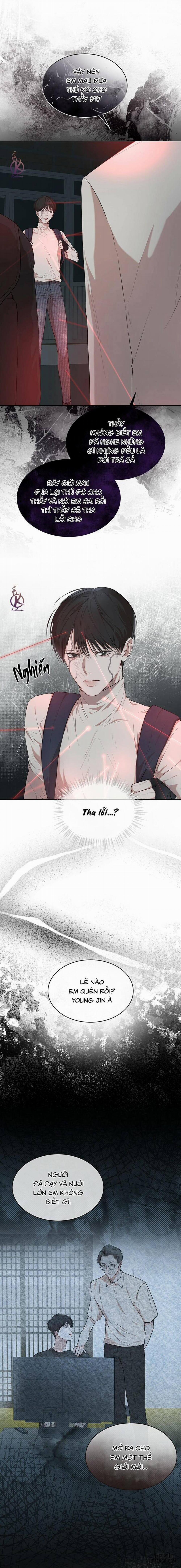 Hình thái khởi sinh 51 trang 13