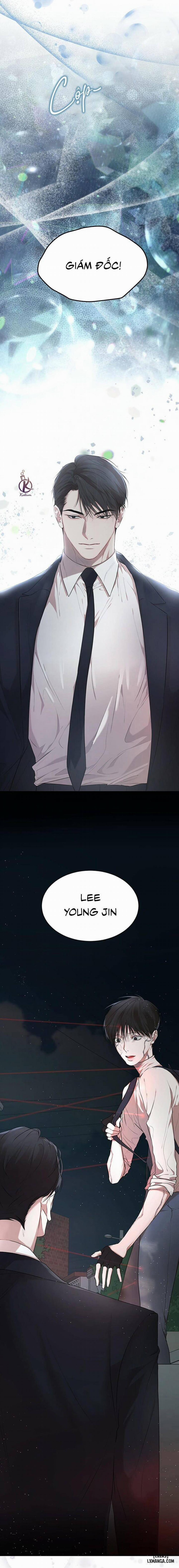 Hình thái khởi sinh 51 trang 15