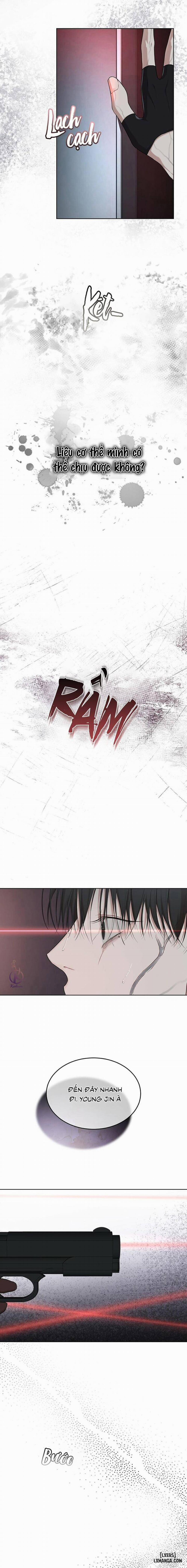 Hình thái khởi sinh 51 trang 9