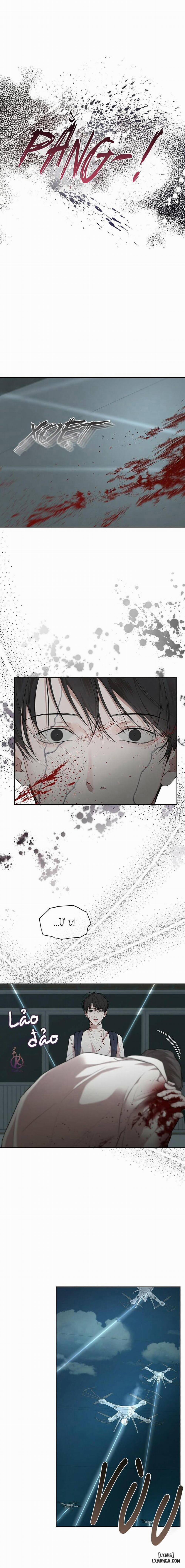 Hình thái khởi sinh 52 trang 10