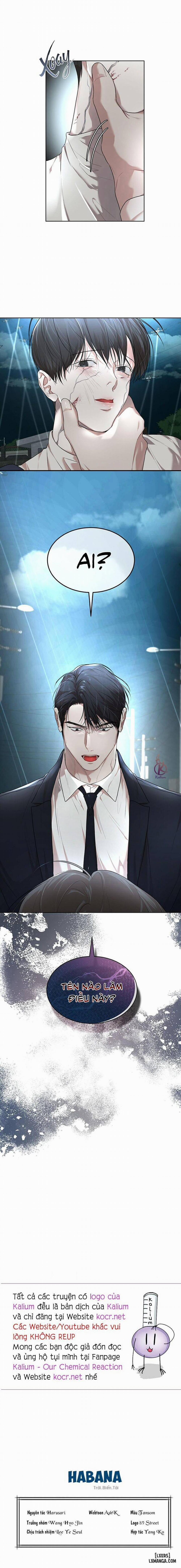 Hình thái khởi sinh 53 trang 13