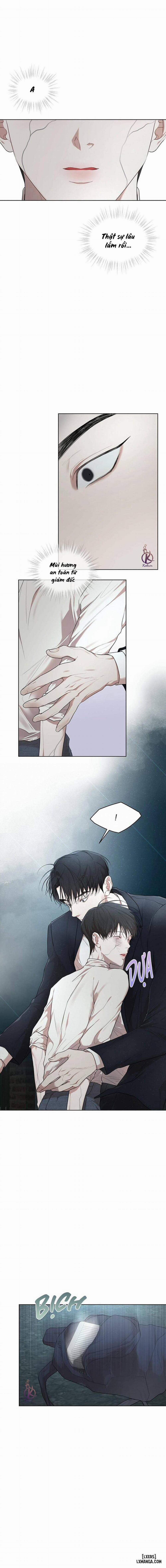 Hình thái khởi sinh 54 trang 10