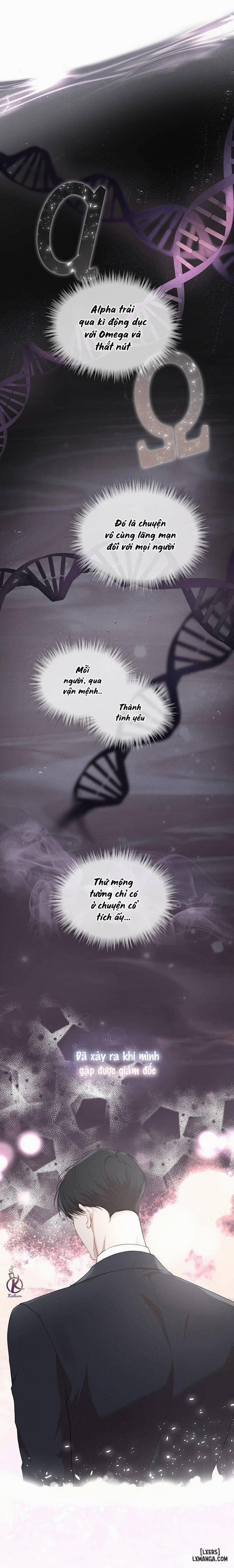 Hình thái khởi sinh 58 trang 9