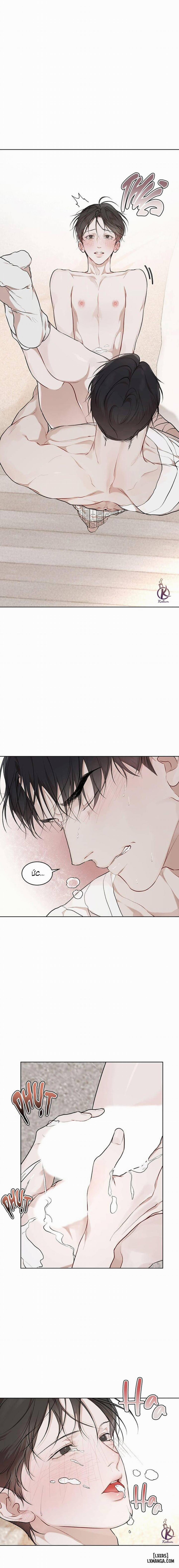 Hình thái khởi sinh 60 trang 11