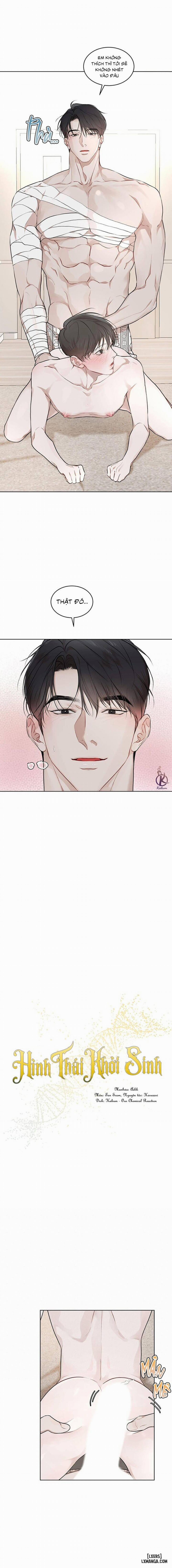 Hình thái khởi sinh 60 trang 3