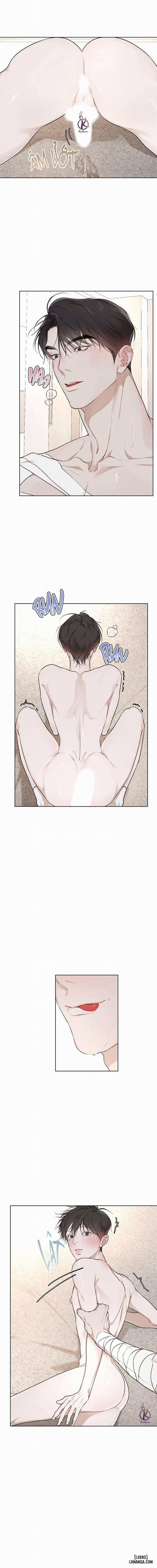 Hình thái khởi sinh 60 trang 4