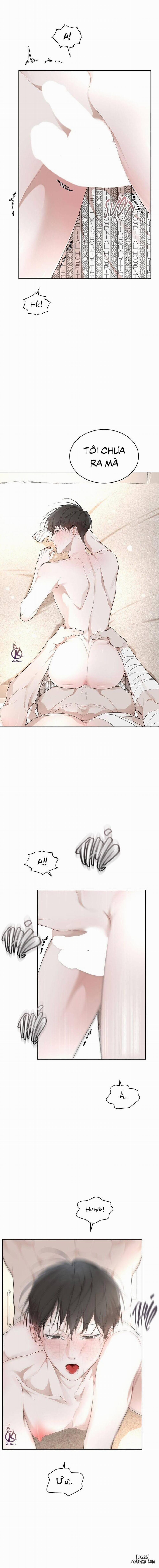 Hình thái khởi sinh 61 trang 10