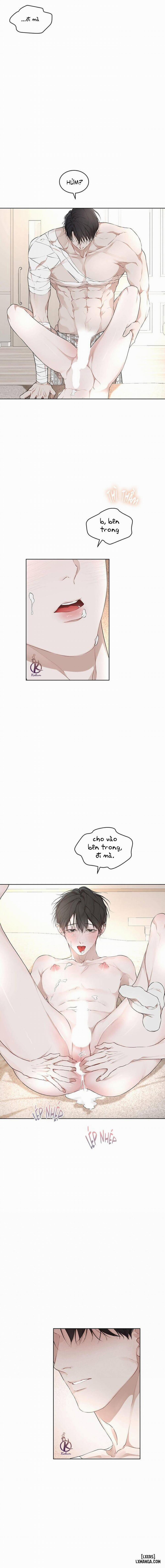 Hình thái khởi sinh 61 trang 3