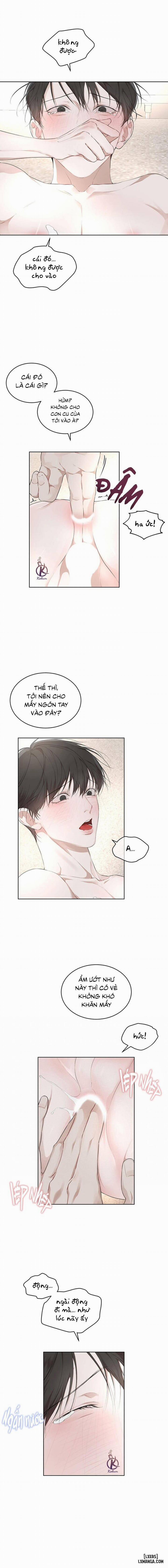 Hình thái khởi sinh 61 trang 5