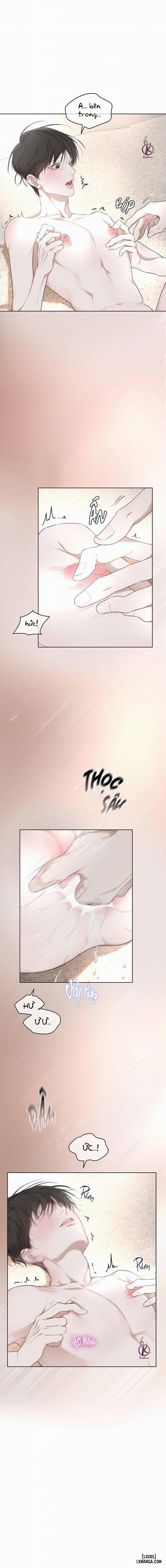 Hình thái khởi sinh 61 trang 8