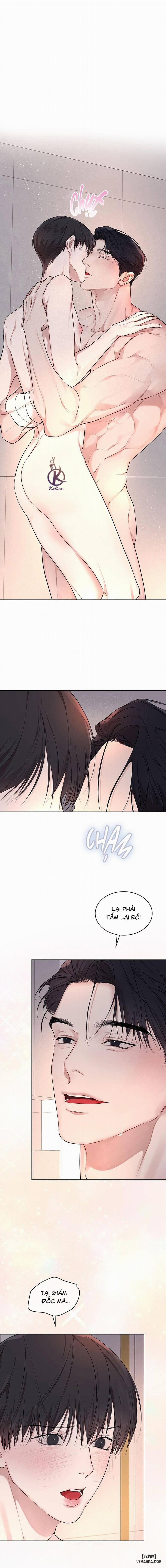 Hình thái khởi sinh 62 trang 13