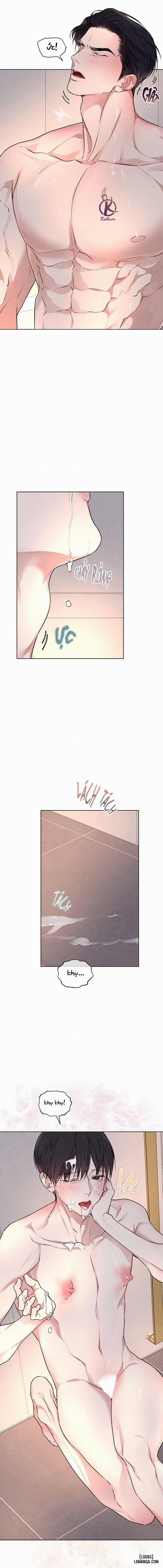 Hình thái khởi sinh 62 trang 8